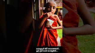 අහිමි කිරි සුවද සිල් සුවදින් හොයන.. රත්තරං මිනි කැට @panu_writer #Shorts #love