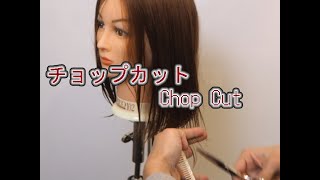 チョップカット/Chop Cut＜美容師のカットの理論・技術・基礎勉強の教育・ヘアスタイルの講習＞