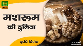 कृषि विशेष: मशरूम की दुनिया