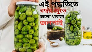 ঘরোয়া উপায়ে জলপাই সংরক্ষণের তিনটি সহজ পদ্ধতি |  How to store Olive | কাঁচা জলপাই সংরক্ষণ পদ্ধতি