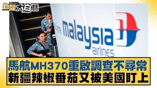 馬航MH370重啟調查不尋常 新疆辣椒番茄又被美國盯上【新聞大白話】20241221