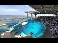 2022.06.04 kizuna 12 00 新江ノ島水族館