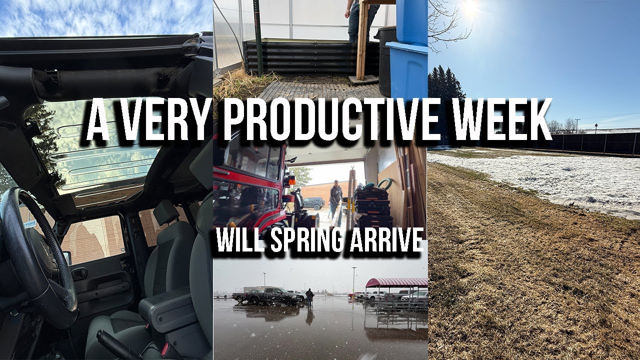 A Productive Week Youtube