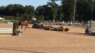 Madeleine Granger \u0026 Got Rhythm - Josey Mohler Equitation Finals 2020