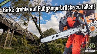 Fußgängerbrücke in Gefahr - Birke nach Sturmschaden abgetragen!