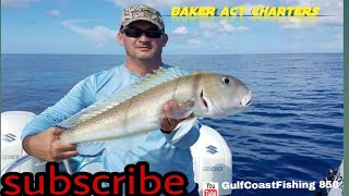 FISHING FUN WITH BAKER ACT CHARTER AND CAPT CHAD HALE PRODUCED BY: GULFCOASTFISHING 850