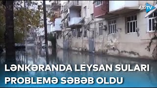 Binaların girişinə su dolub, mənzillərə girmək olmur – Lənkəranda yağışın yaratdığı çətinliklər