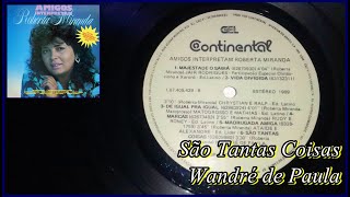 Wandré de Paula - São Tantas Coisas (Amigos Interpretam Roberta Miranda)