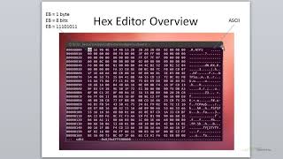 Ubuntu 12 04 Forensics Hex Editor Overview