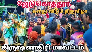 🛑 Live ஜேடுகொத்தூர் கன்று விடும் திருவிழா கிருஷ்ணகிரி மாவட்டம் வேப்பனப்பள்ளி ஒன்றியம்