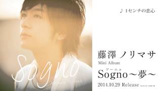 藤澤ノリマサ「Sogno（ソーニョ）〜夢〜」