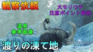 【MHWI】観察依頼:渡りの凍て地※大モリウチはガチ注意ポイント有　温泉の参考画像もあります！