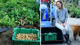 Pulling out EVERYTHING we can from the garden before hard weather hits!