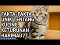 INILAH FAKTA-FAKTA UNIK TENTANG KUCING ..