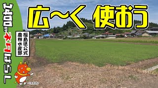 北移地区ほ場整備工事実施中