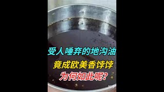 受人唾弃的地沟油，竟成欧美香饽饽，为何如此呢？【壹号揭秘屋】 #冷知识 #科普  #地沟油