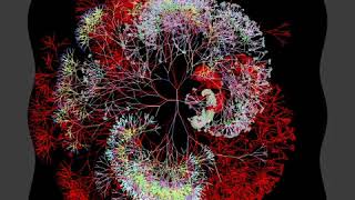 Practice Sketch 35: Post Processing with Openframeworks