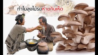 ไม้ร่มตอบทุกคำถาม | ทำไมลุงไม้ร่ม \