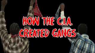 The Absolute Truth About Gang Culture and Why It Was Created