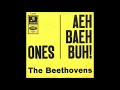 The Beethovens Ones, Single 1965