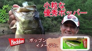 プラドコTVバス釣り動画　使って楽しい優秀なポッパー  ヘドン  ポップンイメージJr.後編 HEDDON