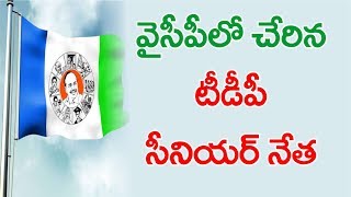 TDP Senior Leader Rami Reddy Joins With YSRCP | వైసీపీలో చేరిన టీడీపీ సీనియ‌ర్ నేత‌ | Janahitam TV