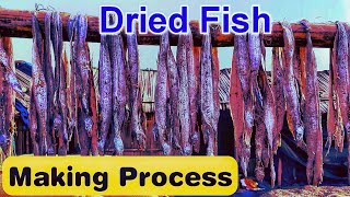 Dried Fish Making Process | Sutki Machh | Dried Fish Business | Near Kapil Muni Ashram | Gangasagar