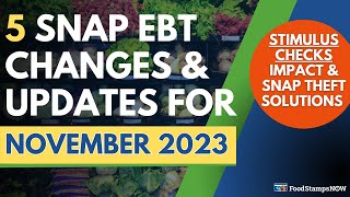 Nov 2023 Food Stamps Update: STIMULUS CHECKS Impact & SNAP Theft Solutions