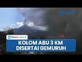 Gunung Lewotobi Laki-laki Erupsi, Kolom Abu Setinggi 3 Km Mengarah ke Barat Laut Disertai Gemuruh