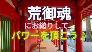 【武蔵一宮 氷川神社】 関東氷川神社の総本山 パワースポット 御神水 流造り 素戔嗚尊 氷川稲荷 御朱印 宗像神社 楼門 埼玉県 大宮