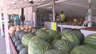 Iowa Icons! The melons (and Taylors) of Muscatine