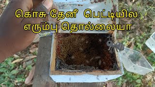 கொசு தேனீ  பெட்டியில எரும்பு தொல்லையா🐜🐝🍯