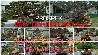 PERAIH BEST TEN DAN BEST IN CLASS PROSPEK, PAMNAS PELANGI BONSAI TABANAN 2021