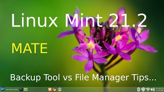 Linux Mint 21.2 - MATE - Backup Tool vs File Manager Tips.
