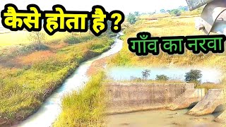 -g...Narva Garwa Ghurwa Bari Yojana Kya Hai – नरवा गरवा घरवा बाड़ी योजना14