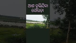 ଆଶ ବୁଲି ଯିବା ସୋରଡ଼ା #tranding #song