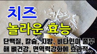 [치즈 효능] 치즈, 왜 매일 먹어야 할까? 다양한 건강 이점 소개