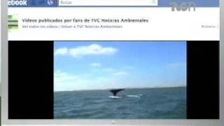 TVCN Ambientales te invita a conocer SeaWorld
