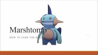 How To Use Marshtomp in VGC - Pokémon ORAS/X\u0026Y Guide!