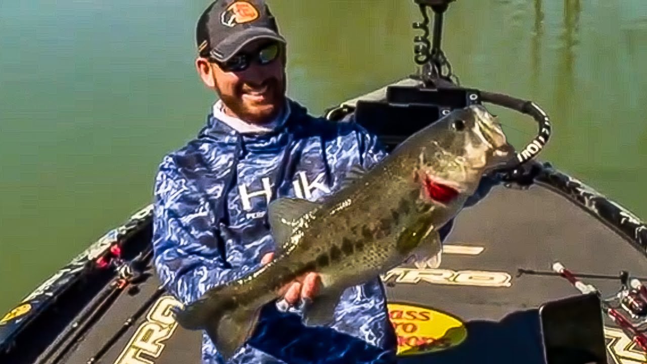 Top 5 BIGGEST BASS Caught Video Compilation - YouTube