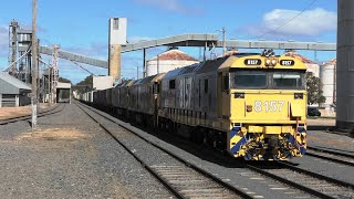 8157-BL30-33 on a late 7901V at Dunolly.   23-09-21.