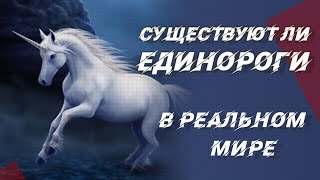 Существуют ли Единороги в реальном мире