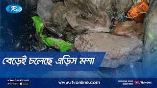 ঠেকানো যাচ্ছে না, ডেঙ্গুর বাহক এডিস মশার বিস্তার | Rtv News