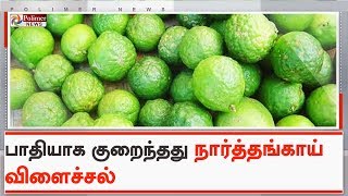 போதிய மழையின்றி பாதியாக குறைந்தது நார்த்தங்காய் விளைச்சல் | #Dindigul