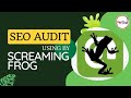 SEO Audit Using By Screaming Frog | Screaming Frog Basic Tutorial in Hindi & Urdu