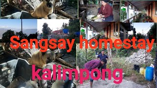 Beautiful homestay sangsay kalimpong ❤||