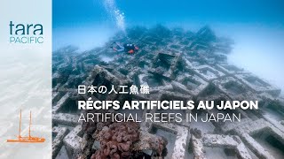 [タラ号太平洋プロジェクト] 日本の人工魚礁