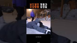 [라이즈] 도합 26년 3일차 보드 경력