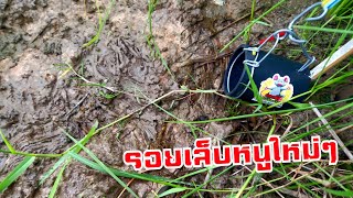 ยามกับดักหนู มีรอยตรงไหนตรงนั้นมีตัว!! |กอล์ฟ ดับเพลิงเข้าทุ่ง