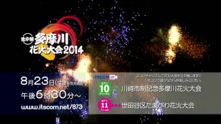 多摩川花火大会2014 放送案内